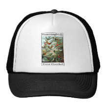 Kolibris durch Ernst Haeckel Kult Cap