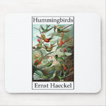 Kolibris durch Ernst Haeckel Mousepad