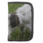 Königcharles Spaniel-Geldbörsen-Folio planer
