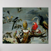 Konzert der Vögel Plakat