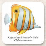 Korallenriff Copperband Schmetterlings-Fisch-Korke