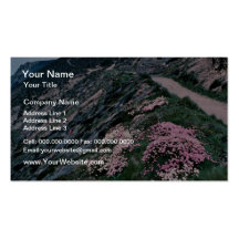 Kornische Floraseerosa an Wheal Coates Blumen Visitenkartenvorlagen