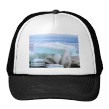KOTZ EIS CAP