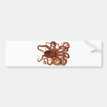 Krakemacropus-atlantische weiße gepunktete Krake Auto Sticker