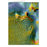 Krater die NASA-Mars-THEMIS Rabe Karte