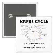 Krebs Zyklus-ALIAS Zitronensäuren-Zyklus Tricarbon Anstecknadelbutton