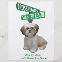 Kreuzungen ShihTzu Rettung Flyerdesign