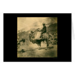 Krimkriegs-Soldat auf einem Kamel 1855 Grußkarten