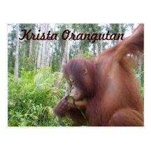 Krista Orang-Utan Fanclubwaren Postkarte