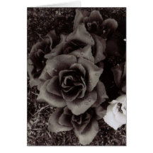 Krys Entwurfs-Grab-Rosen Karte