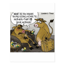 Kuh-Stier-Scheidungs-lustige Cartoon-Geschenke u.  Postkarte