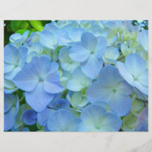 Kundenspezifische BlumenFlyerblaue Hydrangeas-Feie