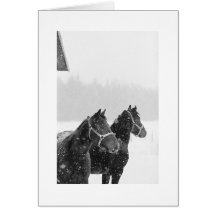 Kundenspezifische Feiertags-Gruß-Schnee-Pferde Grußkarte