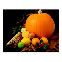 KÜRBIS-MAIS U. FRUCHT POSTKARTE