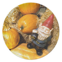 KürbisGnome II teller