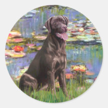 Labrador (Chcolate) - Lilien 2 Sticker