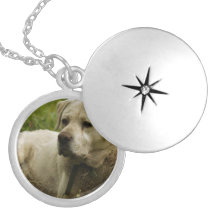 Labrador-Foto Amulett