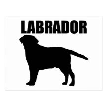 Labrador-Geschenke! Postkarten