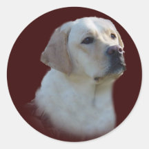 Labrador retriever-Aufkleber