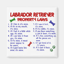 LABRADOR RETRIEVER-Eigentums-Gesetze Magnete