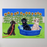 Labrador retriever-Kunst-Druck Poster