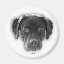 Labrador Retriever Magnet Kühlschrankmagnete