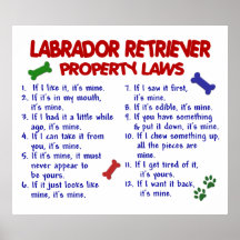 LABRADOR RETRIEVER PL2 POSTERDRUCKE