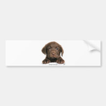 Labrador retriever-Welpe 9Y270D-050 Autoaufkleber