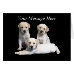 Labrador retriever-Welpen-Gruß-Karte