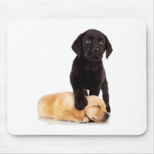 Labrador retriever-Welpen-Spielen Mousepad