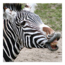 Lächelnde Zebra-Einladungen