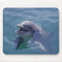 Lächelnder Delphin Mousepads