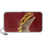 Lachender bärtiger Drache iPhone Lautsprecher