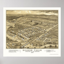 Lachsfälle, panoramische Karte NH - 1877 Plakate