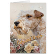Lakeland Terrier unter Rosekarte