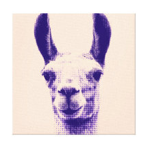 Lama-Leinwand-Druck Leinwand Druck