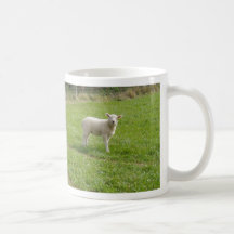 Lamm Kaffee Tassen