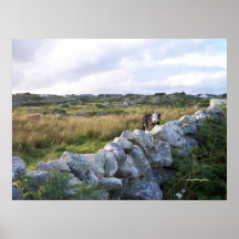 Ländliches Irland Plakatdrucke