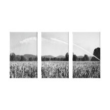 Landschaft Gespannte Galerie Drucke