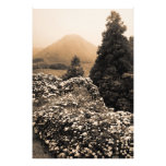 Landschaft mit Hydrangeas Fotografie