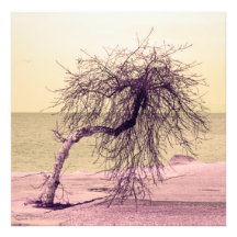 Landschaft Photographischer Druck