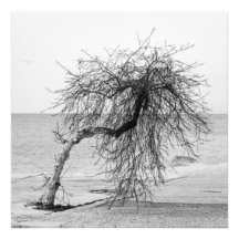 Landschaft Photographischer Druck