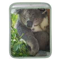 Lässige Koala iPad Hülse iPad Sleeves