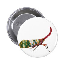 Laternen-Wanzen-Produkte Button