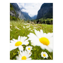 Lauterbrunnen, die Schweiz Postkarten