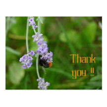 Lavendel mit Hummel Danke Grußkarte Postkarten