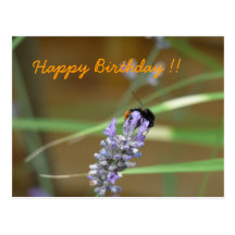 Lavendel mit Hummel Geburtstagskarte Postkarte