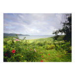 Le Robert, Martinique-Blumen Ankündigung