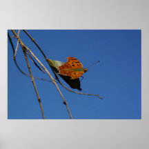 Leafsitter Plakat