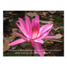 Leben-Zitate Photographie